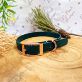 Forest Green Biothane Vegan Dog Collar